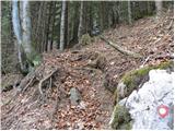 Tržiški graben - Planina Javornik